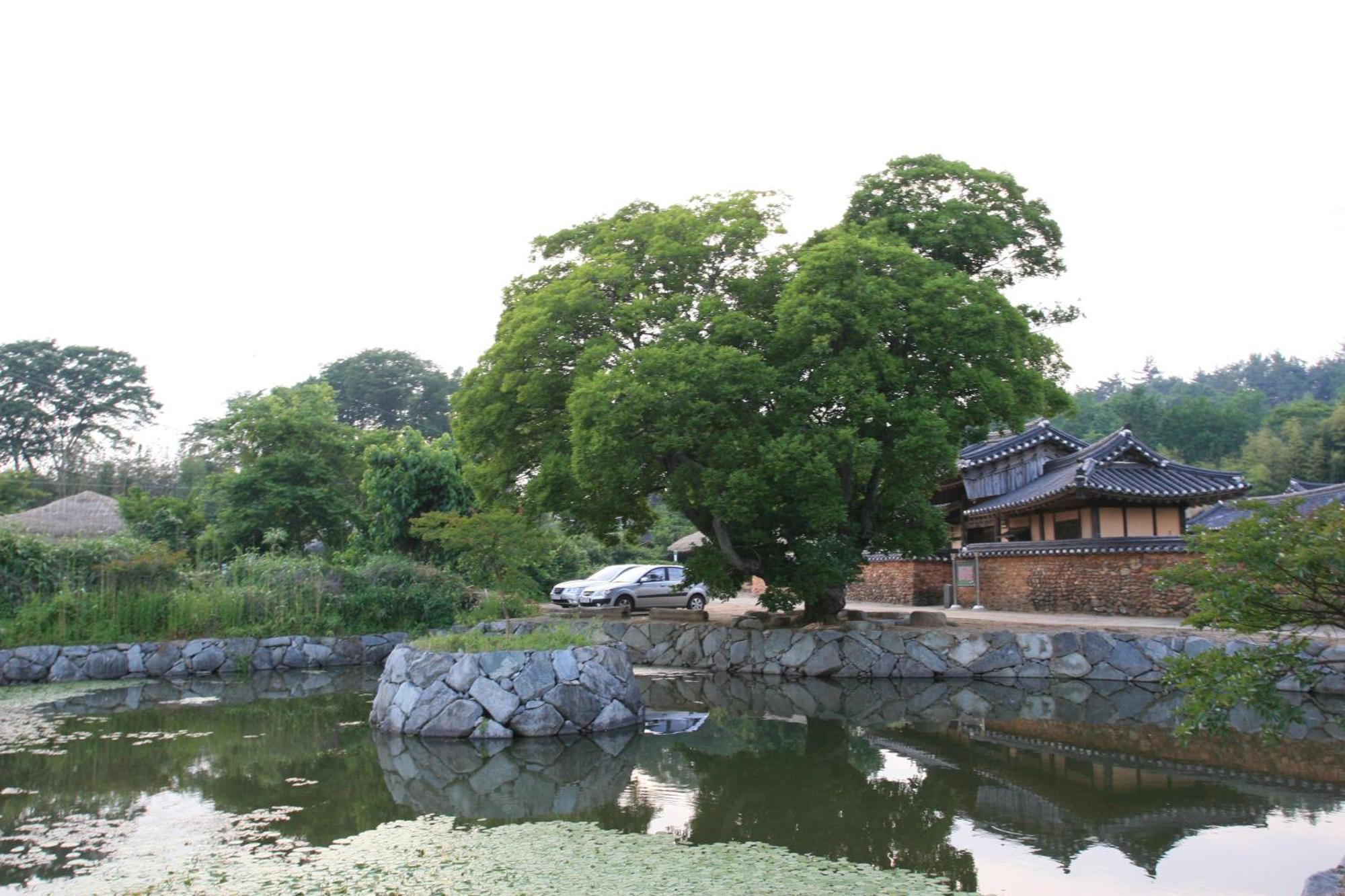 Jinrae Lee'S Traditional House Boseong Luaran gambar